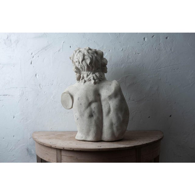Antique White Bust of Laocoön, After the Antique, 20th Century For Sale - Image 8 of 12