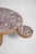 "Galapagos" 140cm oak and tiles table, Barracuda edition. Height: 33 cm - 12.99 in Length: 140 cm - 55.12 in Width: 81 cm...