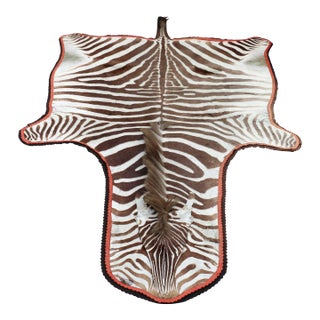 Zebra Hide Rug, South Africa For Sale