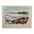 Henry Emil Salloch Original Watercolor on Paper Otter Point, Mt Desert, Me. 1952. For Sale