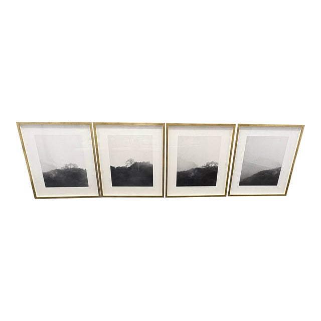 Rh Kate Schermerhorn “Hidden Detail” Art Collection – Complete Set of 4 For Sale