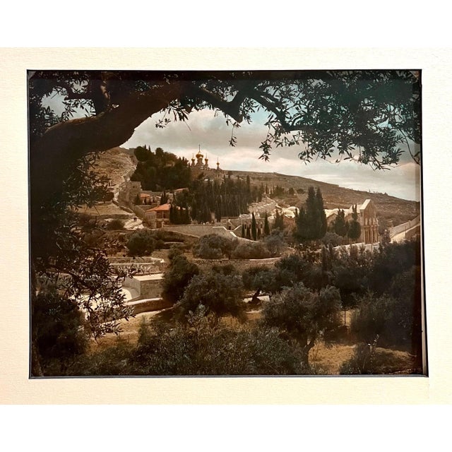 American Colony Jerusalem, Vintage Large Albumen Photo Jerusalem Photograph American Colony Mt Zion Trees, 1890-1920 For Sale - Image 4 of 5