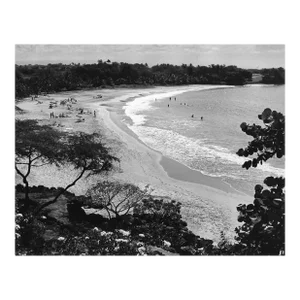 1972 Hawaii Beach Photographer by Don Ware