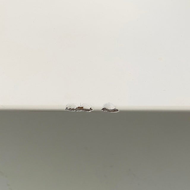 Italian White Wood and Brown Leather Sofa by Massimo and Lella Vignelli for Poltronova, 1980s For Sale - Image 14 of 18