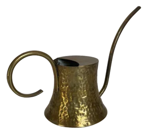 Vintage Brass Watering Can from Hayno Focken, 1950s