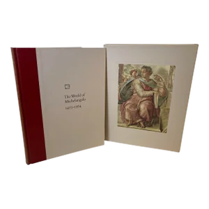 The World of Michelangelo 1475-1564 by Robert Coughlan Book