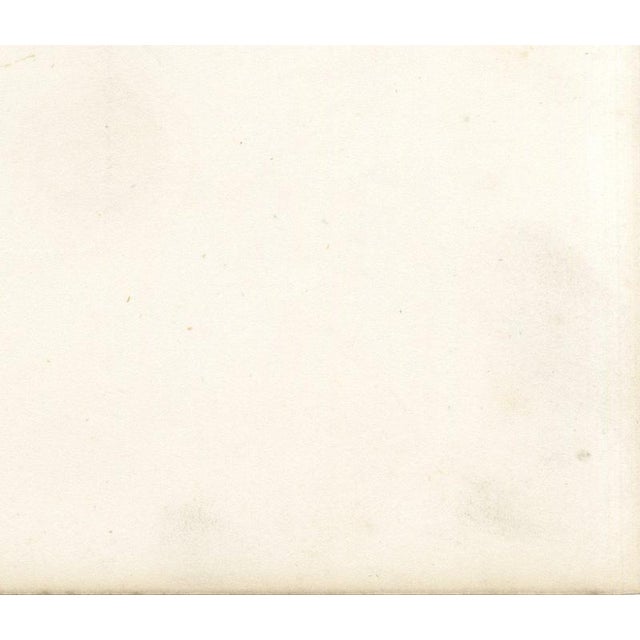 After Isidore Bonheur, Garonnais Bull, , 1873, Paper For Sale - Image 10 of 12