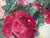 Wladimir Bitschkowsky, Colorful Floral Still Life with Roses, 1920s, Oil Painting on Canvas, Framed For Sale - Image 4 of 15