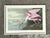 Vintage Audubon Print of Pink Spoonbill For Sale - Image 12 of 12
