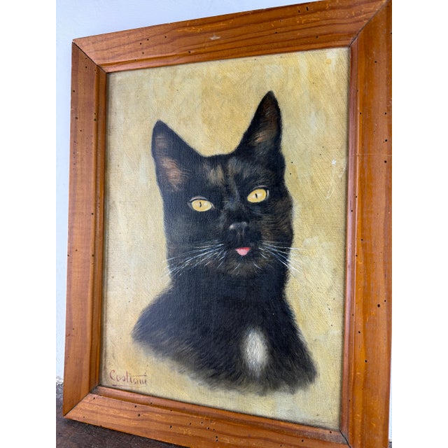 Cat Portrait, 1920s, Oil Painting on Panel, Framed For Sale - Image 7 of 14
