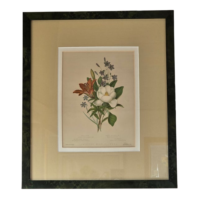 Vintage Framed American Wild Flowers Botanical Print After Isaac Sprague For Sale