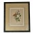 Vintage Framed American Wild Flowers Botanical Print After Isaac Sprague For Sale