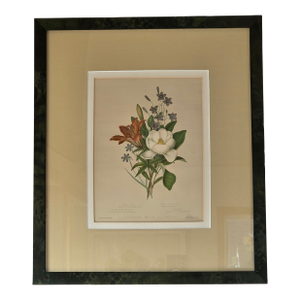 Vintage Framed American Wild Flowers Botanical Print After Isaac Sprague