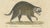 Brodtmann, Raccoon, Honey Badger & Wolverine, Lithograph, 1816 For Sale - Image 6 of 10