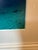 Photography Brian Skerry North Atlantic Whale Photography For Sale - Image 7 of 12