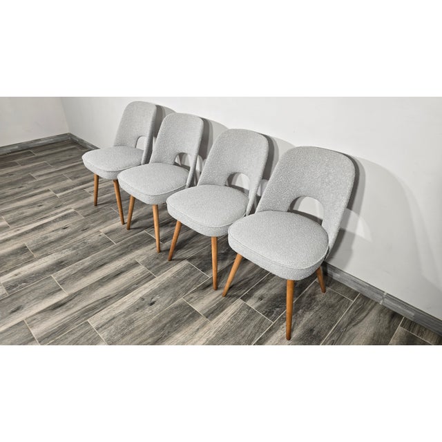 Dining Chairs by Oswald Haerdtl for Ton, 1950s, Set of 4 For Sale - Image 3 of 11