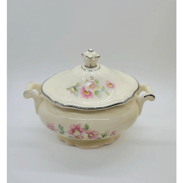 Mid 20th Century Homer Laughlin Virginia Rose Coffee Set- 4 Pieces For Sale - Image 4 of 12