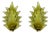 Italian Modern Murano Glass Leaf Sconces in the style of Barovier & Toso, 1980s, Set of 2 For Sale