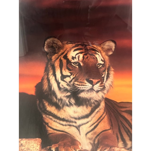 We have for your consideration a very gorgeous vintage print of a tiger on a rock. These were often won or purchased at...