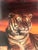 We have for your consideration a very gorgeous vintage print of a tiger on a rock. These were often won or purchased at...