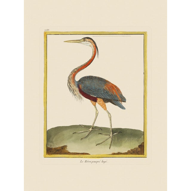 Shore Bird Grouping by Martinet Blue and Pink Giclee Reproductions For Sale - Image 9 of 11