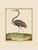 Shore Bird Grouping by Martinet Blue and Pink Giclee Reproductions For Sale - Image 9 of 11