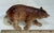 Vintage Relco Ceramic Porcelain Brown Bear Figurine Japan For Sale In Dallas - Image 6 of 6