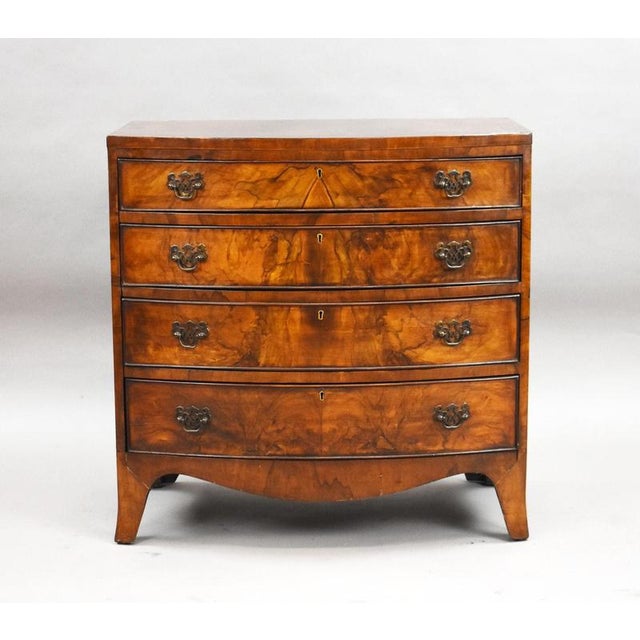 Early 20th Century Figured Walnut Bow Front Chest of Drawers A handsome early 20th century figured walnut bow front chest...