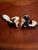 The Vintage Robert Simmons Ceramics from Los Angles, Ca Skunk Figurines Pewey and Pewette from the 1950s are decorative...