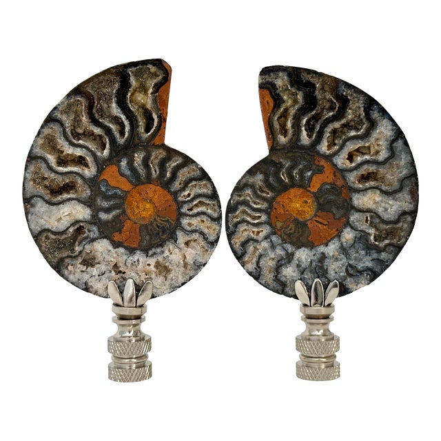 Split Ammonite Fossil Lamp Finials on Chrome Hardware - a Pair For Sale