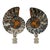 Split Ammonite Fossil Lamp Finials on Chrome Hardware - a Pair For Sale