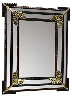 Large 19th Century Louis XIV Style Rectangular Mirror
