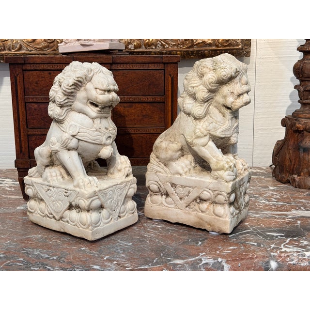 A lively pair of carved marble foo dogs, each seated on a decorated rectangular plinth. One rests a paw on a sphere, the...