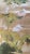 If you love the look of De Gournay wallpaper but not the price, this is for you. The listed price is for 1 panel of 24"...