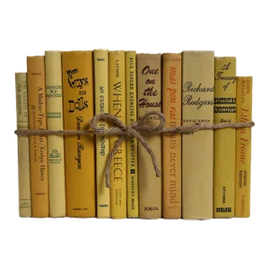 Decorative Books - Vintage Saffron Book Bundle - 1 Foot of Yellow Books
