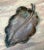 Vintage Italian Patinated Copper Leaf Bowl For Sale - Image 10 of 13