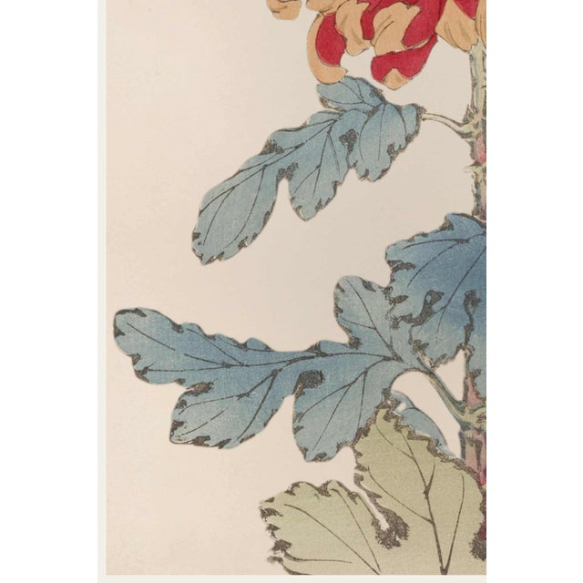 Red Chrysanthemum Giclée, Vintage Japanese Botanical Art Print, 20" X 30" For Sale - Image 4 of 9