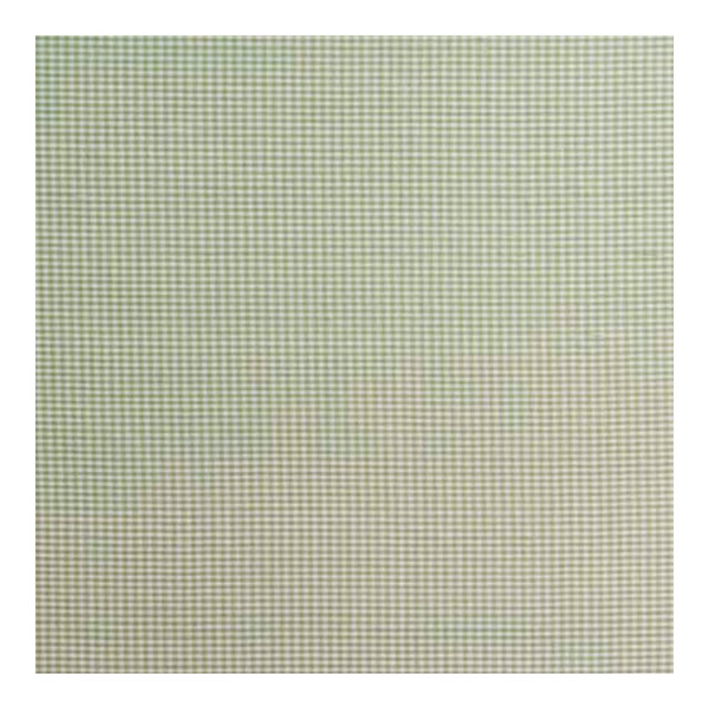 Schumacher Dalton Silk Gingham Fabric in Leaf For Sale