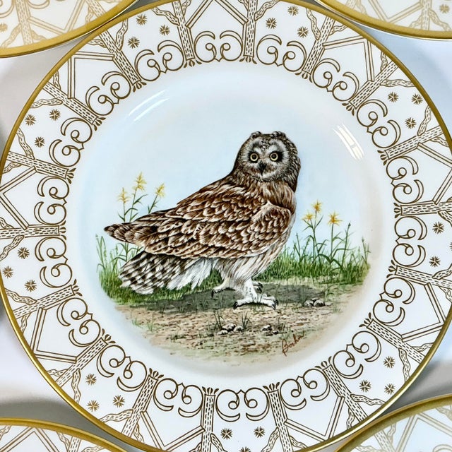 1980 Vintage Arts & Crafts English Bone China Owl Dinner Plates -Set of 8. For Sale - Image 13 of 18