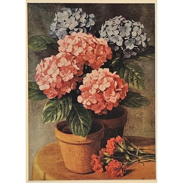 1928 Pair French Botanical Floral Botanicals, Matted For Sale - Image 4 of 5