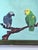 Figurative Oil Painting on Board Two Parrots on Branch in Green Lacquered Frame For Sale - Image 3 of 13
