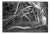 Paul Cooklin, Tree Roots, Blickling Estate, Edition of 50 For Sale
