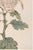 Not Yet Made - Made To Order Blush Mum by Hasegawa, Vintage Japanese Botanical Art Print, 8" X 12" For Sale - Image 5 of 8
