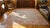 Textile 1880s Tan Sand Medallion Antique Persian Ziegler Sultanabad Rug 10'5" X 10'6" Handknotted Wool Carpet For Sale - Image 7 of 9