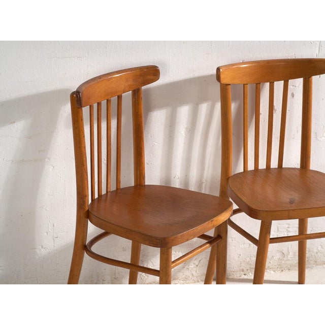 Bentwood Chairs by Michael Thonet for Ton, Former Czechoslovakia, 1960, Set of 2 For Sale - Image 3 of 13