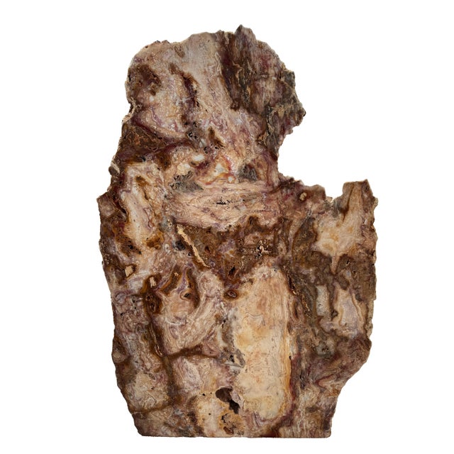 Red Jasper Stone Sculpture by Xyleia Petrified Wood For Sale - Image 7 of 7