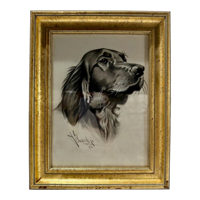 t.e.. Schrock Signed 1950 Setter Dog Portrait Drawing Framed For Sale
