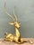 Vintage Monumental Brass Gazelle For Sale - Image 11 of 12