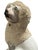 White Antique 19th Century English Staffordsire Ceramic Poodle For Sale - Image 8 of 12