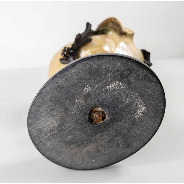 19th Century Continental European French or German Bronze With Turbo Shell, Kunstkammer Object For Sale - Image 14 of 14
